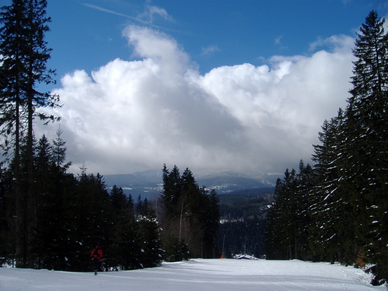 DSCF0536.JPG