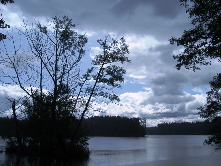 Třeboň (006).JPG