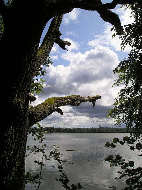Třeboň (007).JPG