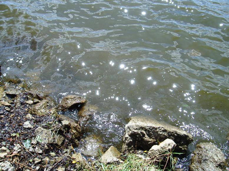 Třeboň (027).JPG
