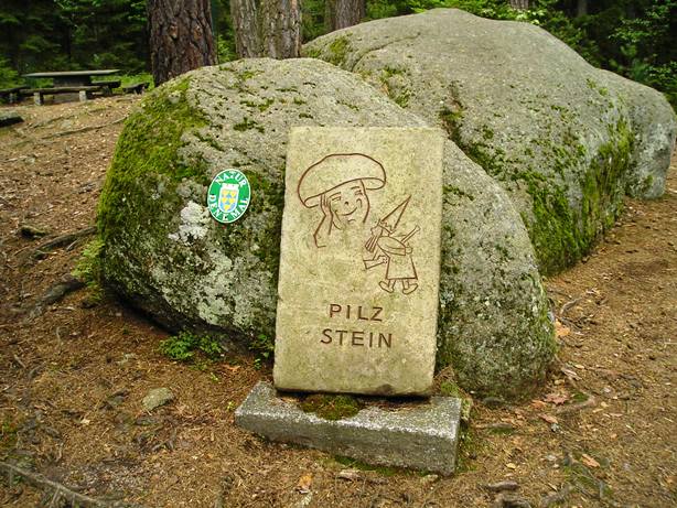 Třeboň (097).JPG