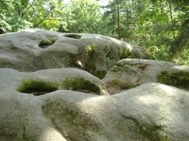 Třeboň (104).JPG