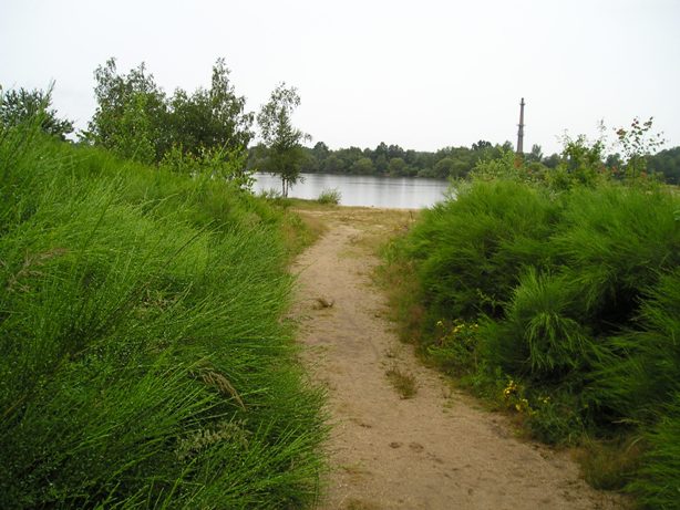 Třeboň (149).JPG